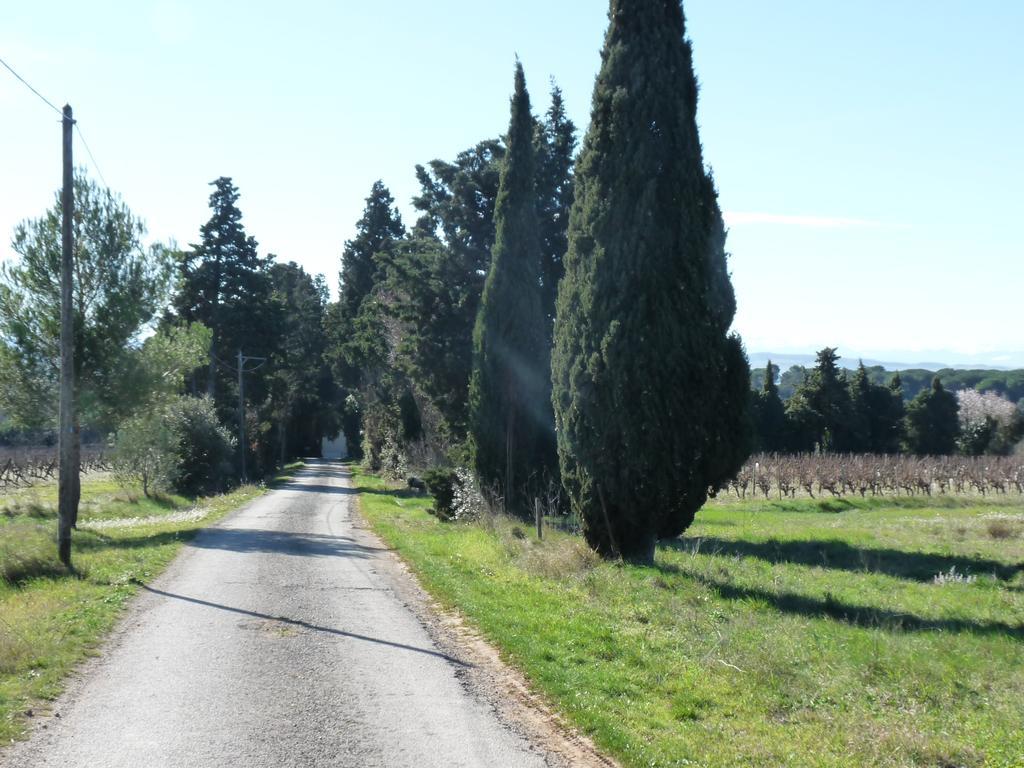 Chateau La Bouriette Moussoulens Buitenkant foto