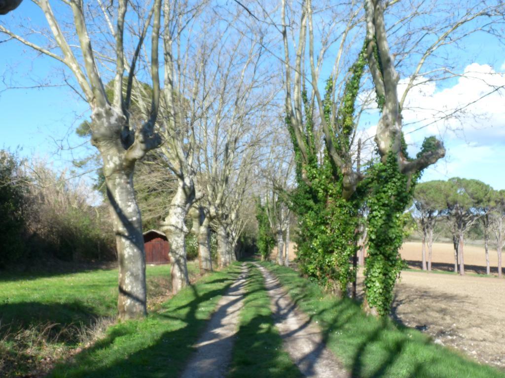Chateau La Bouriette Moussoulens Buitenkant foto